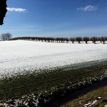 Eine der schönsten Alleen des Landes
